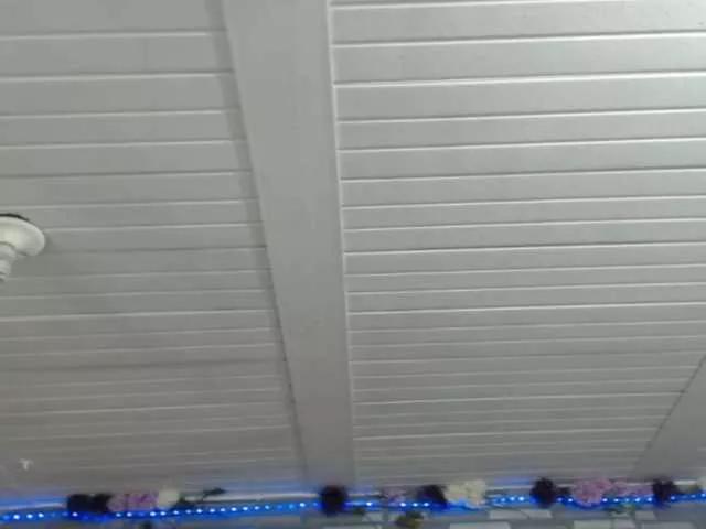 bubbisroberts