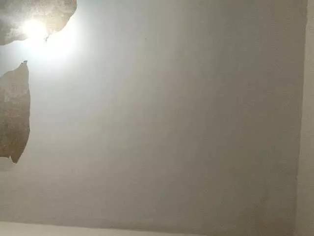 BunnyForceHub