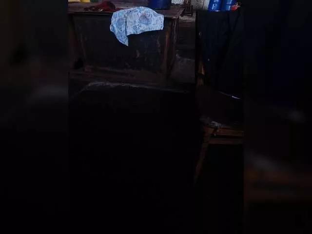 Dimasik402