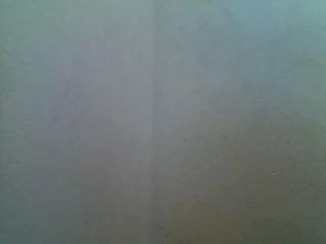JELLA1 on BongaCams