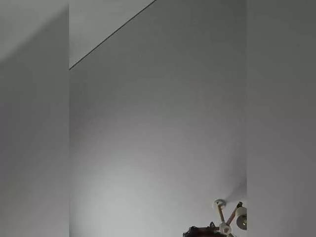 Mari301