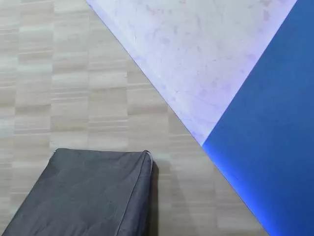 petite-paulette1