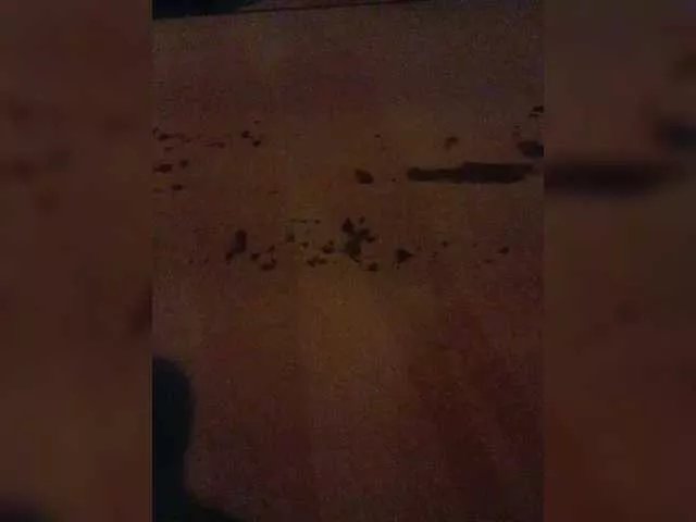 Qeen777 on BongaCams 