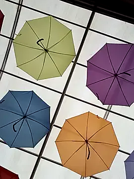 CarlaAlvez on StripChat