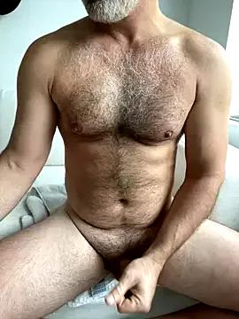 cumfreeforall from StripChat