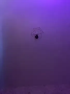 Lexi_Storm on StripChat