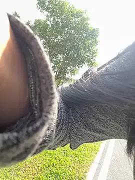 Winona88 from StripChat